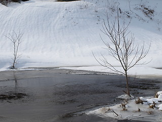 Image showing A winter scene.