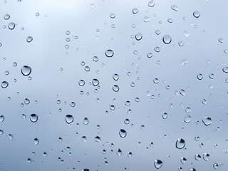 Image showing Rain droplets