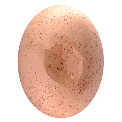 Image showing Cracked egg