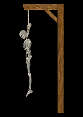 Image showing Hanging Skeleton