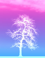 Image showing White Tree
