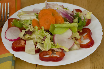 Image showing colorful light lunch