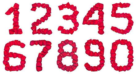 Image showing Petal digits