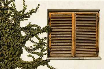 Image showing wooden window