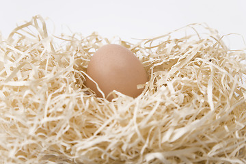 Image showing nest egg