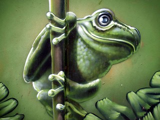 Image showing Frog Graffiti