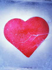 Image showing Frozen Love