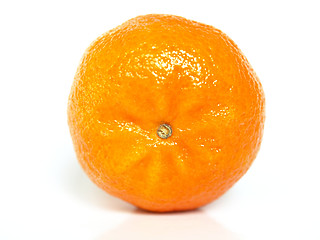 Image showing Tangerine