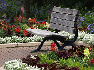 Image showing A summer bench.