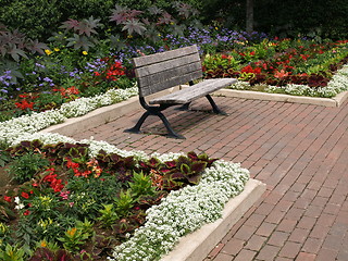 Image showing A summer bench.