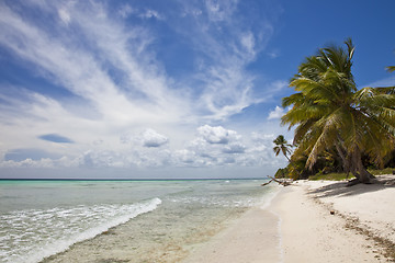 Image showing Tropical Beach