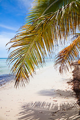 Image showing Tropical Beach