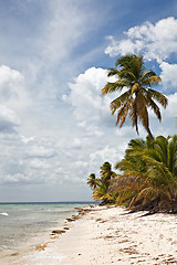 Image showing Tropical Beach