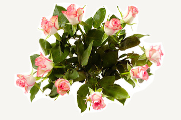 Image showing Rose bouquet