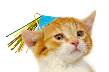 Image showing Kitten with hat 