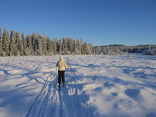 Image showing Skiing Norway