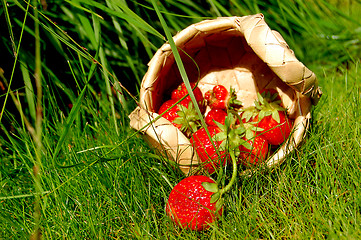 Image showing basket of strawberries in the grass