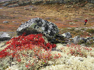 Image showing Hiking Norway