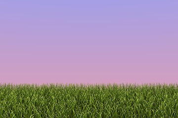 Image showing Grass Background