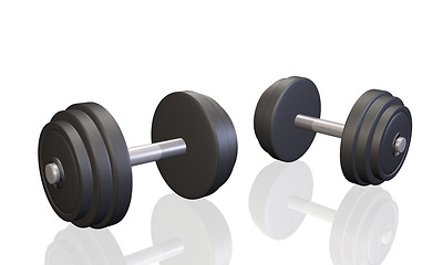 Image showing Exercise Dumbells