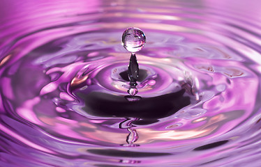 Image showing Water droplet