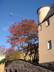 Image showing House and fall tree