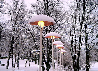 Image showing Lanterns under a snow in the park