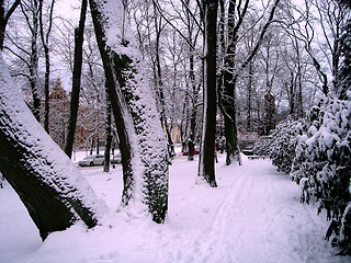 Image showing Winter in city park