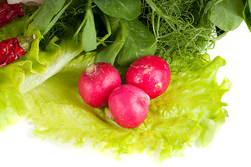 Image showing Vegetables