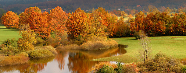 Image showing Autumn coloured trees