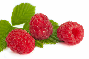 Image showing Raspberry fruits