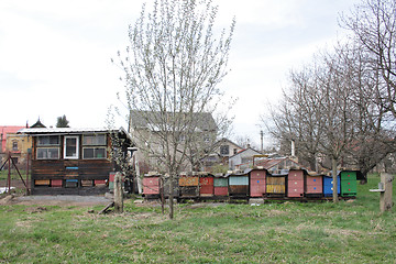 Image showing czech bee farm 