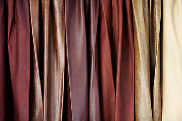 Image showing Leather