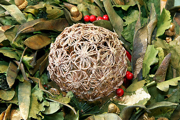 Image showing Nature decoration