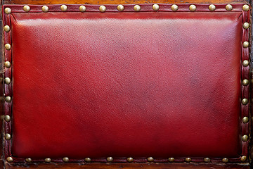 Image showing Red leather back