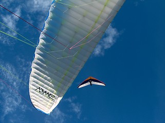 Image showing Paragliding Norway