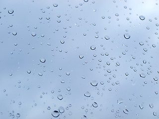 Image showing Rain droplets