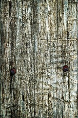 Image showing Abstract texture an old dry cracked wood