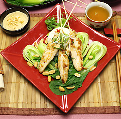 Image showing Chinese Chicken Skewers