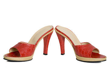 Image showing red sandals