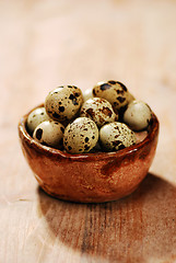 Image showing quail eggs 