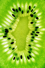 Image showing photo of a kiwi