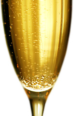 Image showing champagne glass