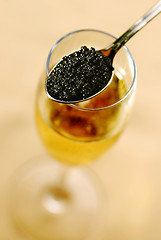 Image showing Caviar and champagne