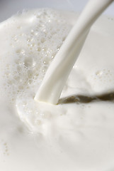 Image showing Pouring milk