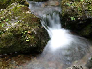 Image showing Refreshing waterfalls.