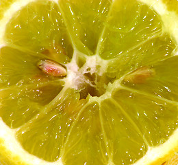 Image showing A lemon slice