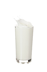 Image showing milk