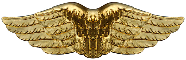 Image showing Golden Wings