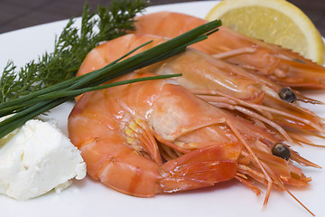 Image showing shrimps